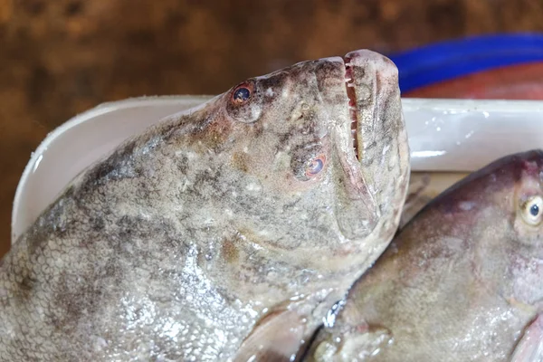 Sole fish, ingredient for cooking