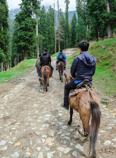 Pahalgam India Aprile 2017 Turisti Divertiti Cavallo Verso Valle Pahalgam — Foto Stock