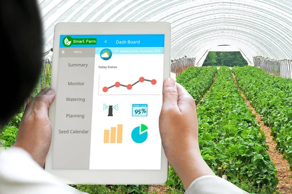 Hand Holding Tablet Monitoring Smart Farming System Greenhouse Agriculture Technology — Stock Photo, Image