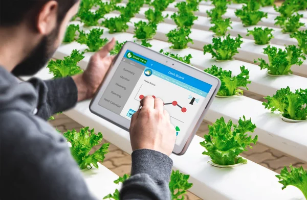 Tablet izlemek tarım sera, tarım teknoloji devrimi, AI otomatik, kavramsal sisteminde akıllı tutan el