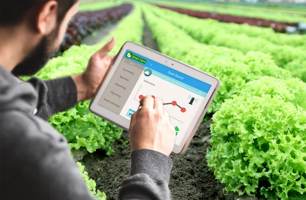 Ręka Trzyma Tablet Monitorowania Smart System Szklarni Rewolucja Technologia Rolnictwa — Zdjęcie stockowe