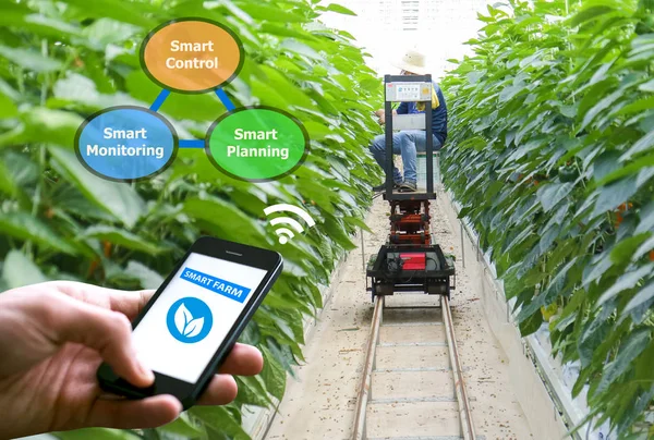Smart Farming High Tech Landwirtschaftskonzept — Stockfoto