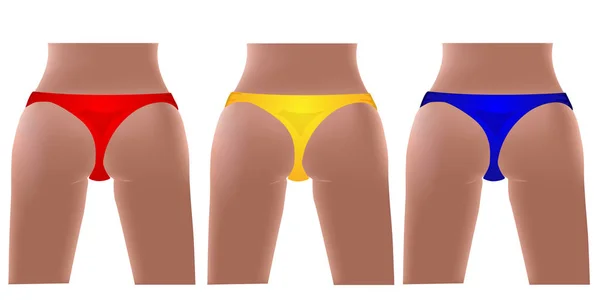 Sexy Women Body Usa Biquíni Tanga Cores Vetor — Vetor de Stock