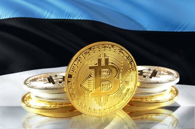 Estonya bayrağı Bitcoin sikke, cryptocurrency kavramı fotoğraf