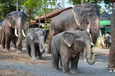 Khonkean, Tayland-2 Nisan 2017: ruh evinde fil heykeli veya Tay dilinde 