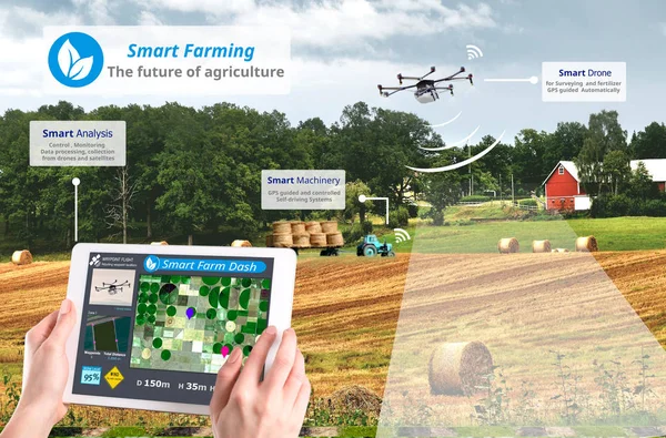 Agricultura Inteligente Agricultura Alta Tecnología Concep — Foto de Stock