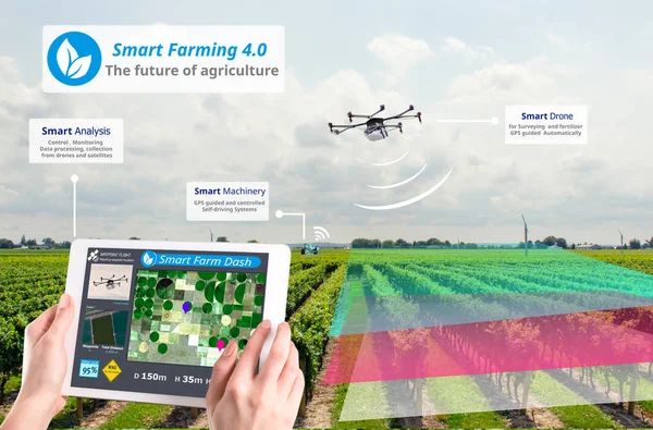 Smart farming 4.0 , Hi-Tech Agriculture conceptual, Drone AI automatic