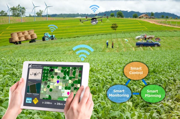 Smart Farming Tech Agriculture Conceptual Droneai Automatic — Foto de Stock