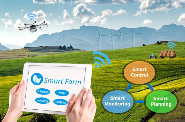 Smart farming, Hi-Tech Agriculture conceptual picture, AI automatic