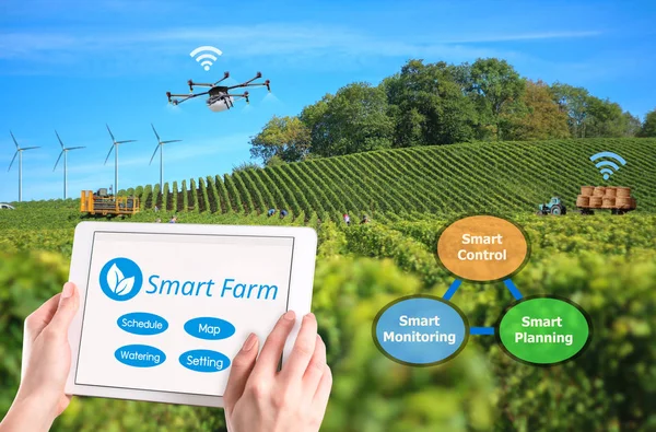 Smart farming, Hi-Tech Agriculture conceptual picture