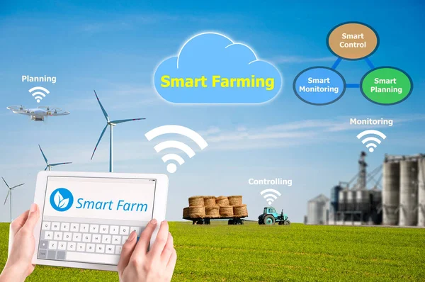 Agricultura Inteligente Concepto Agricultura Alta Tecnología — Foto de Stock