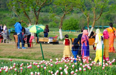 Srinagar, Hindistan - 22 Nisan 2017: Indira Gandhi Memorial lale bahçeleri, Srinagar, Jammu ve Keşmir, Hindistan