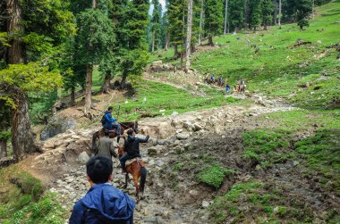 Pahalgam, Hindistan - 23 Nisan 2017: at Pahalgam Vadisi (çoban Vadisi) Jammu ve Keşmir, Hindistan turist zevk binme