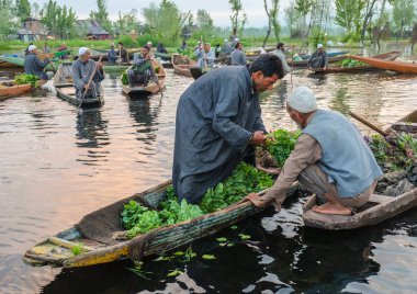 Srinagar, Hindistan - 25 Nisan, 2017: Keşmir adam shikara teknesini Dal Gölü yüzen Pazar sabah erken nakletmek sebze