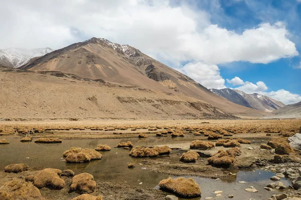 Durbuk, the boggy terrain that one sees after crossing the Chang la pass  on the way to Pangong Tso lake, Leh,  Jammu and Karmir, India