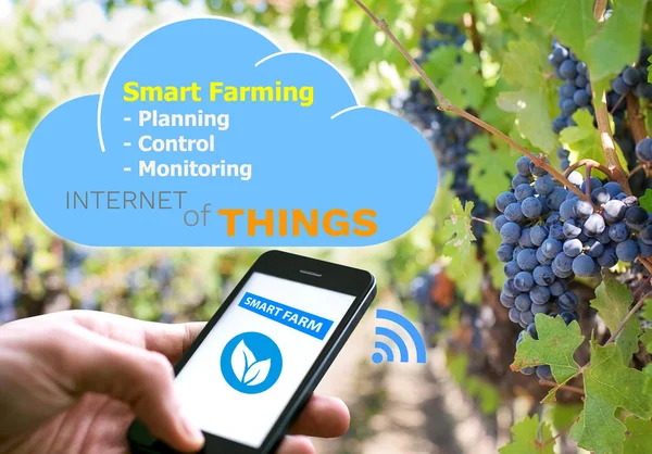 Smart Farming Tech Agriculture Concept — Stock Photo, Image