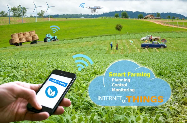 Smart farming, Hi-Tech Agriculture concept