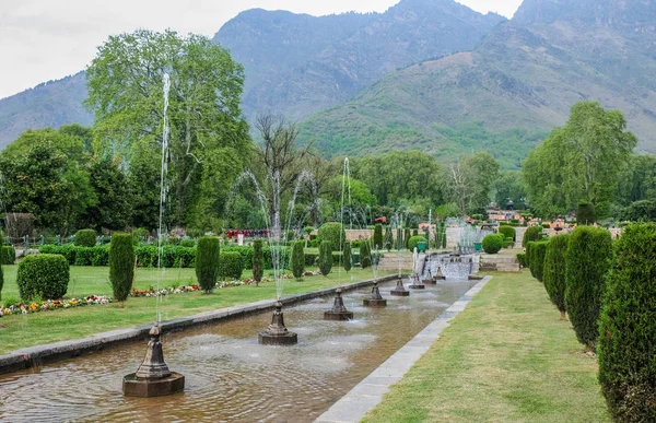 Nishat Garden Srinagar Sorge Sulle Rive Del Bellissimo Lago Dal — Foto Stock