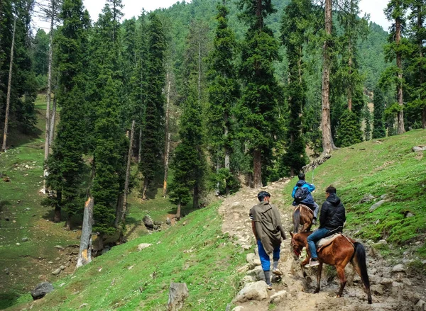 Pahalgam India Aprile 2017 Turisti Divertiti Cavallo Verso Valle Pahalgam — Foto Stock