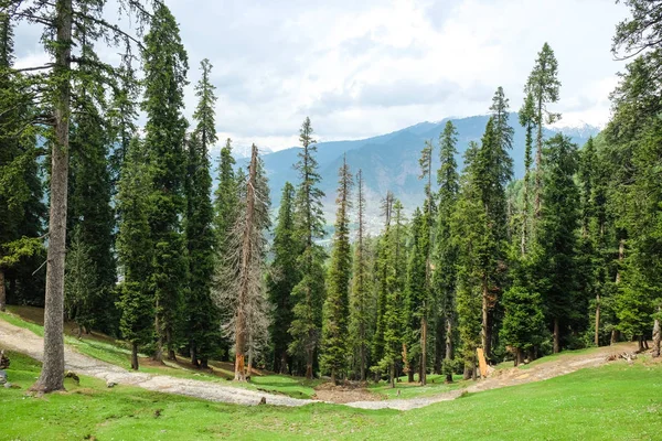 Valle Pahalgam Kashmi India — Foto Stock