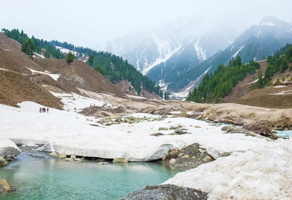 Montagne Innevate Sonamarg Jammu Kashmir India — Foto Stock