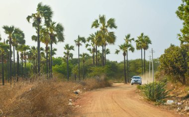 Bagan, Myanmar-22 Nisan 2016: eski Bagan kırmızı tozlu yolda Pickup kamyon sürüş