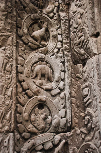 Στεγόσαυρος Δεινόσαυρος Σκάλισμα Στον Τοίχο Prohm Ναός Siem Συγκεντρώνει Καμπότζη — Φωτογραφία Αρχείου