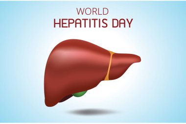 İnsan ciğeri Dünya Hepatit Günü 28 Temmuz, Anatomi Vektörü Gerçekçi İllüstrasyon.