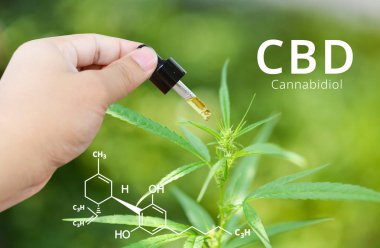 Elle tutulan Cbd cam b ile Cannabidiol (Cbd) molekül formülü