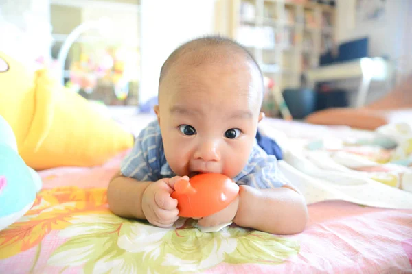 Słodkie mało Azji dziecko chłopiec żucie ząbkowanie — Zdjęcie stockowe