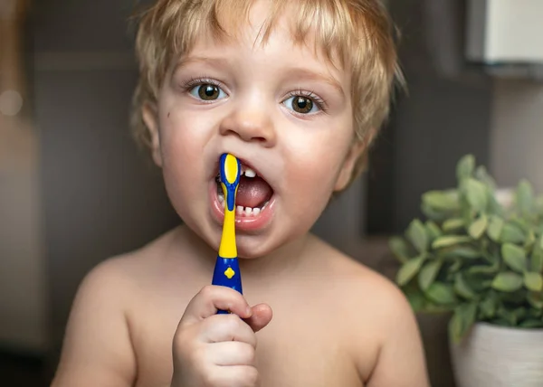 O rapaz limpa um dente — Fotografia de Stock