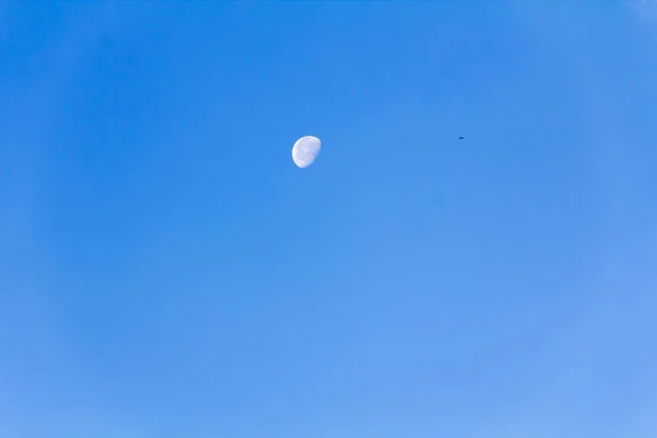Clear Cloudless Sky Visible Moon — Stock Photo, Image