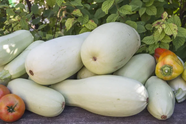 Zucchine Altre Verdure Trovano Uno Sfondo Naturale — Foto Stock