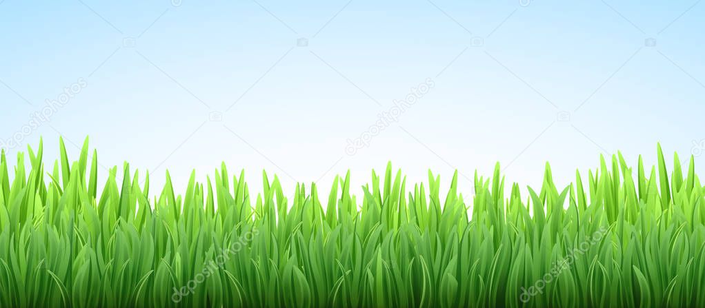 Realistic vector fresh spring green grass field