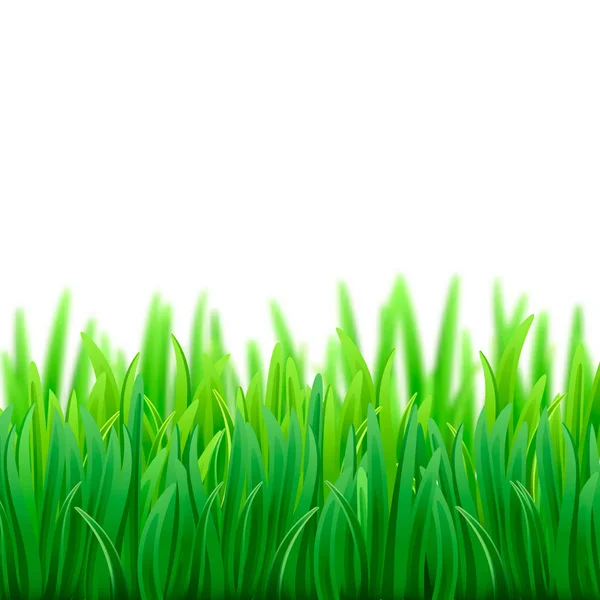 Vettore realistico campo di erba verde primavera fresca — Vettoriale Stock