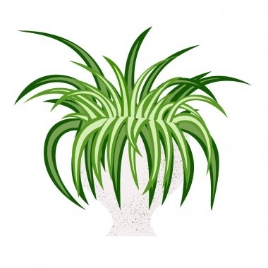 İzole örümcek evi bitkivektör illüstrasyon