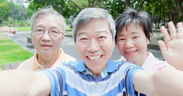 Ancianos Tomando Selfie Felizmente Parque — Foto de Stock