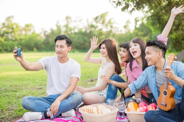 Ludzi Biorąc Selfie Piknik — Zdjęcie stockowe