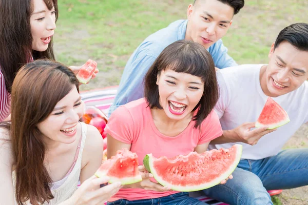 people eating watermelon happily and enjoying picnic