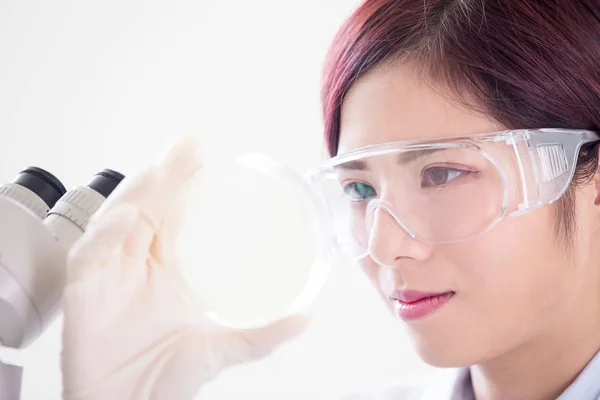 Vrouw Wetenschapper Petrischaal Deelnemen Het Laboratorium — Stockfoto