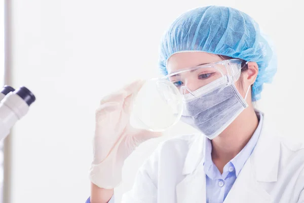 Mujer Científica Tomar Placa Petri Laboratorio —  Fotos de Stock