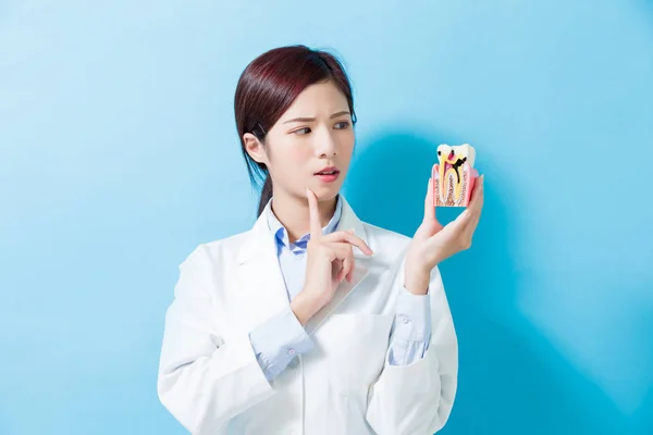 妇女牙医在蓝色背景的衰变牙齿模型 — 图库照片