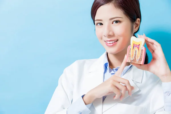 Mujer Dentista Tomar Salud Diente Modelo Fondo Azul — Foto de Stock