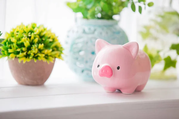 Close Bonito Banco Piggy Rosa — Fotografia de Stock
