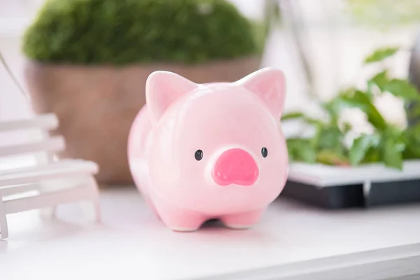 Close Bonito Banco Piggy Rosa — Fotografia de Stock