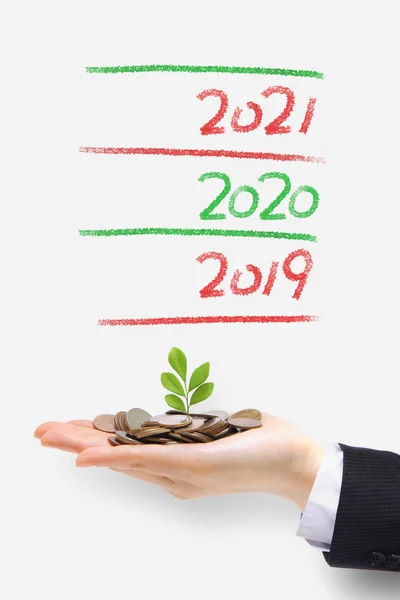 Money Tree Grow 2019 New Year — Stock Photo, Image