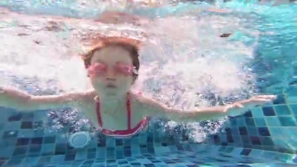 Linda chica en la piscina — Vídeo de stock
