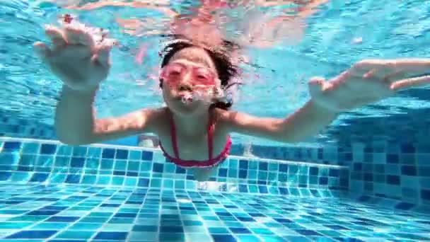 Linda chica en la piscina — Vídeo de stock