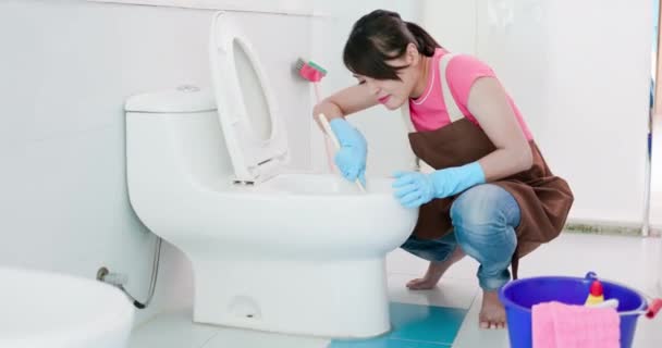 Vrouw borstel het toilet — Stockvideo