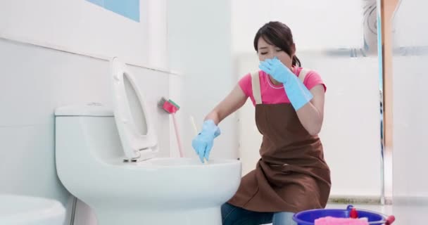 Vrouw borstel het toilet — Stockvideo
